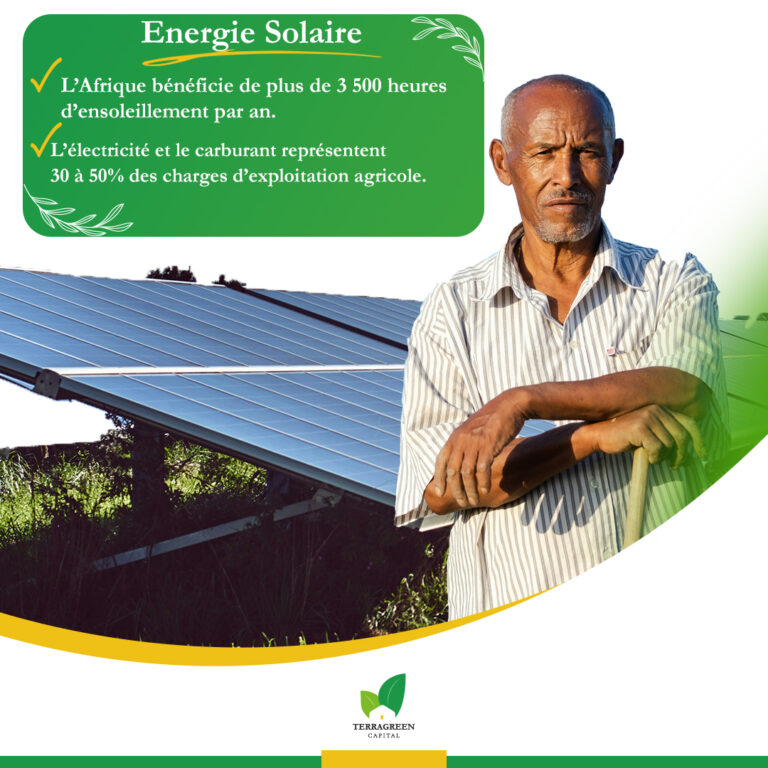 L’Énergie Solaire : Le Nouvel Atout de l’Agriculture Rentable en Afrique