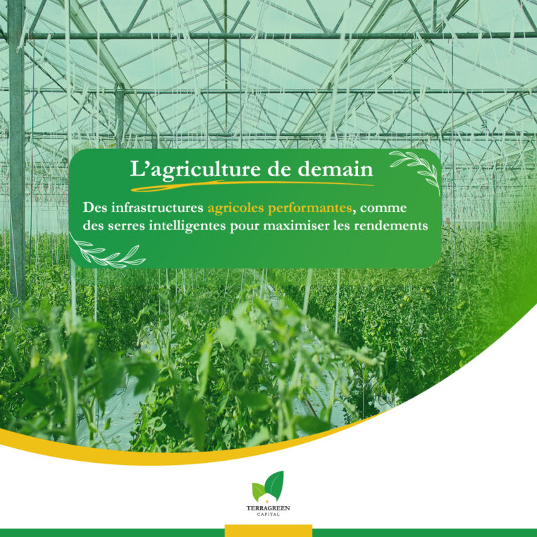 Construire l’Agriculture de Demain