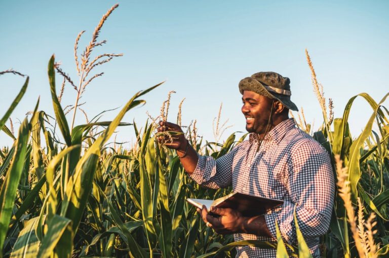 Agriculture durable en Afrique : moteur clé de sécurité alimentaire et création d’emplois jeunes 🌱🚜